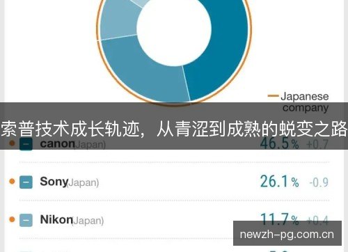 索普技术成长轨迹,从青涩到成熟的蜕变之路 索普技术成长轨迹,从青涩到成熟的蜕变之路